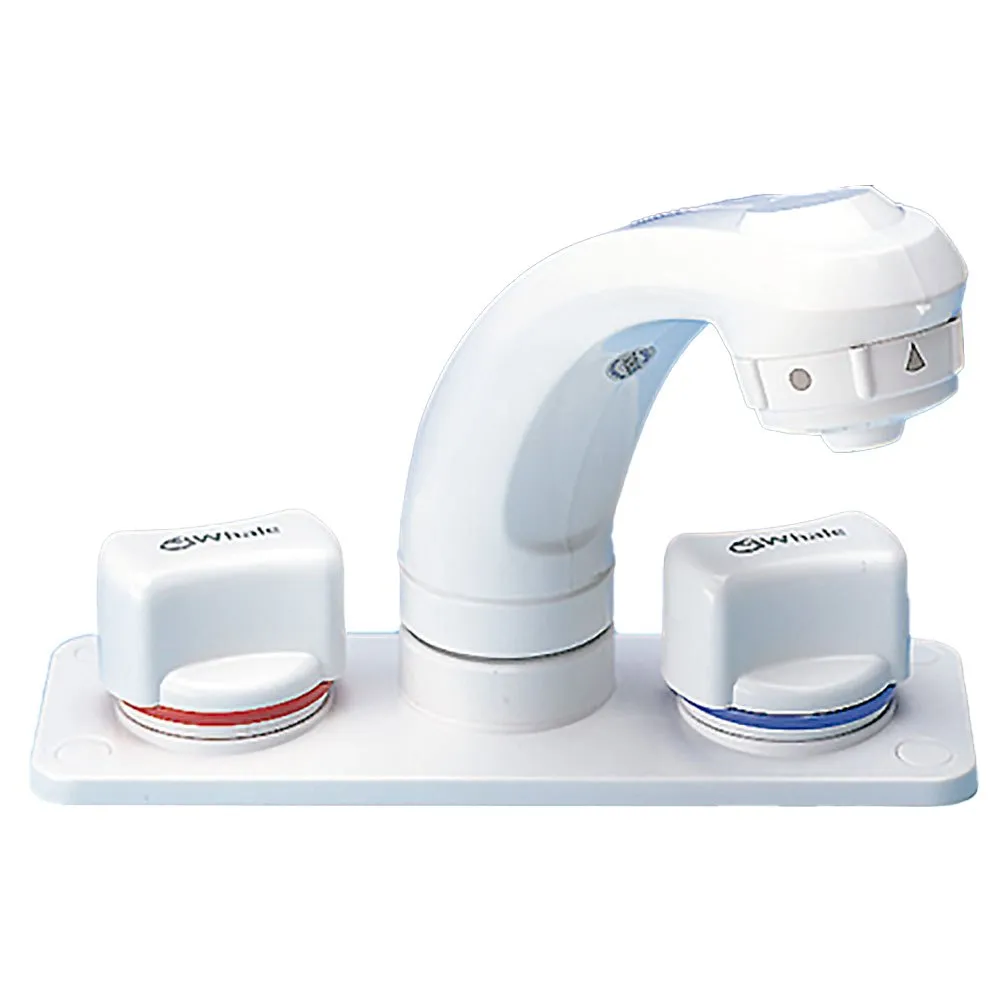 Whale Elegance Combination Pull Out Mixer Faucet/Shower RT2498